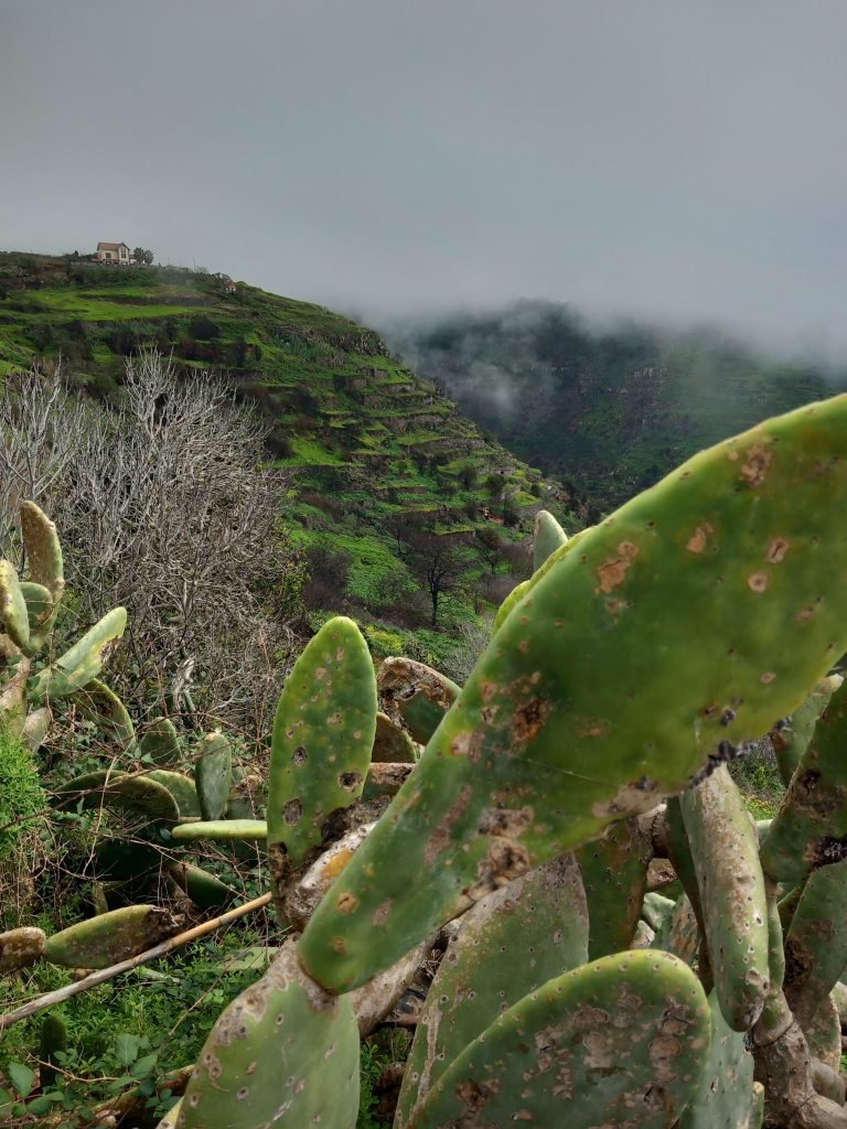 Style Tours Madeira – tour photo 2