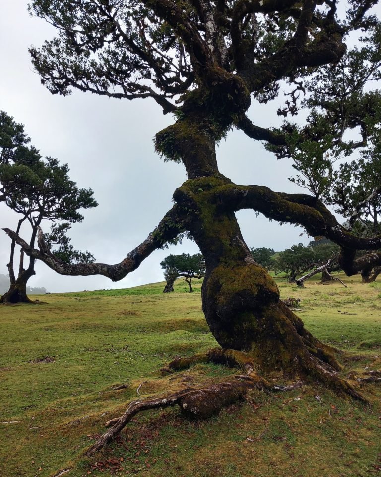 Private Jeep Tour – photo 5
